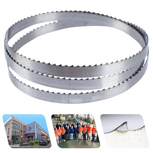 Lames de <span class=keywords><strong>scie</strong></span> à <span class=keywords><strong>os</strong></span> pour boucher, adaptées aux boucheries et aux abattoirs, avec une longue durée de vie et des options personnalisables - Product Image 6