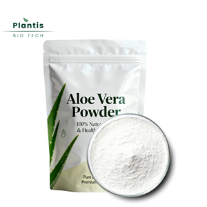 ผงว่านหางจระเข้ขาวอบแห้งคุณภาพสูง ได้รับการรับรองฮาลาล/โคเชอร์ อายุการเก็บรักษา 24 เดือน ช่วยบำรุงผิวให้ชุ่มชื้น - Product Image 2