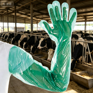 50 unids/bolsa <span class=keywords><strong>ganado</strong></span> veterinario vaca <span class=keywords><strong>Holstein</strong></span> Friesian <span class=keywords><strong>ganado</strong></span> Semenax inseminación A.I PE guantes - Product Image 2