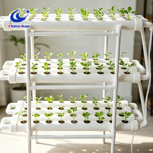 Sistema de Cultivo Hidropónico Comercial a Gran Escala de 3 Niveles, Tubería de PVC Multiusos para Producción de Forraje - Product Image 6