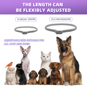 Collier anti-<span class=keywords><strong>puces</strong></span> et anti-tiques réglable pour animaux de compagnie, répulsif d'insectes pour animaux de compagnie en silicone personnalisé, huile essentielle de plantes naturelles pures, dentelle pour animaux - Product Image 6