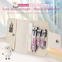 Set Profesional de 10 Piezas para el Cuidado de las Uñas, Kit de Manicura y Pedicura de Acero Inoxidable, Herramientas Portátiles de Viaje para Cortar Uñas