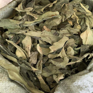 Long <span class=keywords><strong>Li</strong></span> <span class=keywords><strong>Ye</strong></span> Bulk New Sauropus Spatulifolius Leaf Pure Dried Raw Sauropus Spatulifolius Leaves pour Herb - Product Image 4