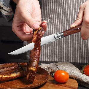 Garwin OEM/ODM Durable Modern Laguiole Style Full Tang <strong>Steak</strong> <strong>Knife</strong> with ABS Handle for Restaurants - Product Image 3