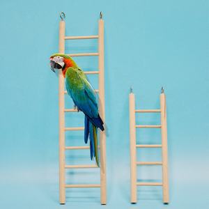 2-piece Set Interactive Wooden Staircase Bird Hanging Staircase <strong>Toy</strong> <strong>Parrot</strong> <strong>Parrot</strong> High-quality Supplier <strong>Toy</strong> - Product Image 1