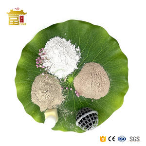 Bactéries enzymatiques bio pour le nettoyage des fosses septiques et le traitement des eaux usées en usine en Chine - Product Image 3