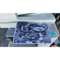 Copieur multifonction noir et blanc reconditionné IR 2520 – Vente flash
