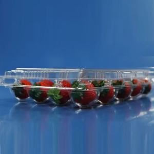 Blíster transparente desechable PET, caja de frutas, bandeja de plástico, embalaje para fresa - Product Image 6
