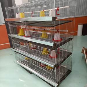 Bebek Brooder kafesleri iyi fiyat tavuk yetiştiriciliği pil H tipi kanatlı 3 Tier 90-320 kuşlar kapasite 30-40kg tavuk kafesi - Product Image 2