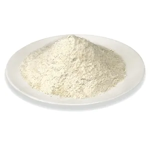 Supply Methyl Cellulose Instant Flocculent Cellulose Powder in High Quality CMC