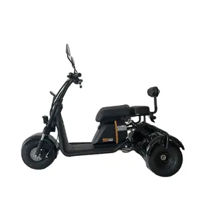 Çin elektrik Citycoco 1500 Mini 3wheels pilli motosiklet elektrikli oyuncaklar yetişkin çocuklar için 3 tekerlekli elektrikli tuk tuk motorsiklet Scooter