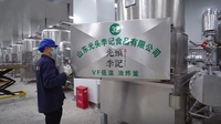 Pasariwa Ng Gulay Bij Prutas Na Chips, Vacuüm Gebakken Bij Gevriesdroogde Chips Sariwang Gedroogde Snack