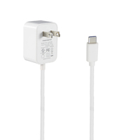Adaptateur secteur rapide 5V Type C 10W avec sortie 2A, prise américaine, adaptateur mural, sortie DC 5V
