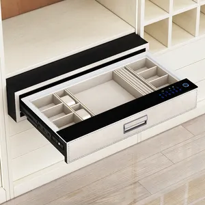 Oem Odm Cabinet Organiser Slide Makeup Organizer Safe Storage Containers Drawer Jewelry Smart Password Lock Box Drawers