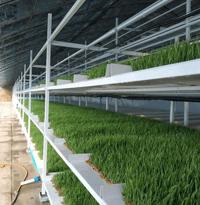 Hydroponic growing automated fodder hydroponics sprout hydroponic container