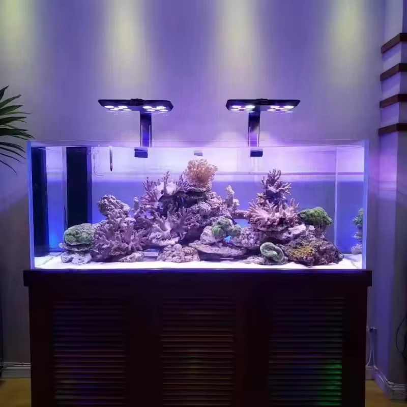 Photo inspiration: Visual Reference: Corals Aquarium Reef Led Light 90W 110W Full Spectrum Marine