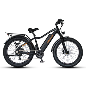 Bicicleta eléctrica de montaña de 26 pulgadas, cicla eléctrica de montaña de 750W, precio barato - Product Image 2