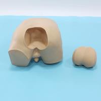 Modèle avancé de palpation rectale, simulateur d'examen rectal, mannequin d'enseignement médical avec modules de prostate remplaçables
