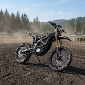 48V 60Ah Racing <b>Electric</b> Dirt <b>Bike</b> for Adults Ultra Bee BEEEN Brushed Motor 351-<b>500W</b> 40-60km/h 600-1000CC - Product Image 2