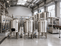 Ligne de production de bière artisanale 500L, brasserie en acier inoxydable SUS304 poli miroir, équipement de filtration de moût à faible perte pour brasserie commerciale