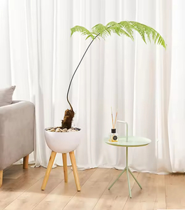 Pot à fleurs brossé en plastique PP <span class=keywords><strong>de</strong></span> haute qualité, idéal pour la décoration intérieure du salon, <span class=keywords><strong>de</strong></span> la maison ou du balcon. - Product Image 5