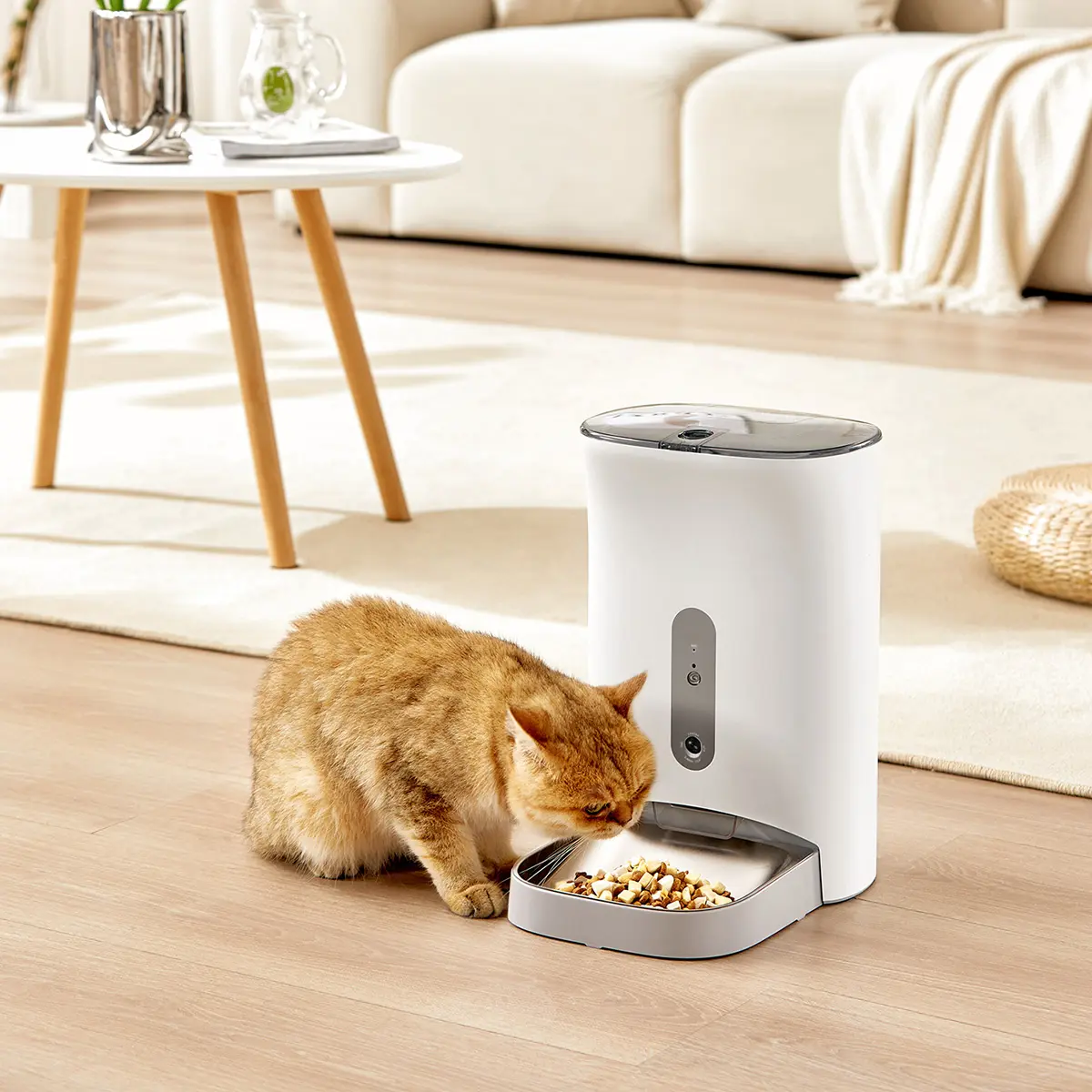 Mangeoire automatique pour chats, produits intelligents pour animaux de compagnie, mangeoire automatique pour animaux de compagnie avec caméra intelligente personnalisée