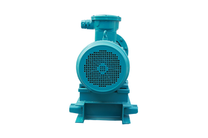 ปั๊มหอยโข่งแบบดูดเองคุณภาพสูง ราคาแข่งขัน XBSB-A ปั๊มหอยโข่งสแตนเลส XBSB-A - Product Image 2
