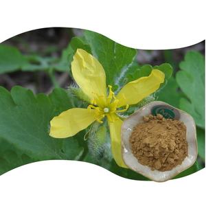 Ekstrak Celandine murni alami kualitas tinggi Pabrik Terbaik/ekstrak <span class=keywords><strong>Chelidonium</strong></span> - Product Image 2