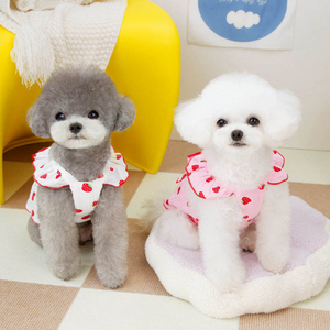Robe d'hiver imprimée fraise XL C096 pour chiens et chats avec jupe à nœud et harnais - Product Image 4