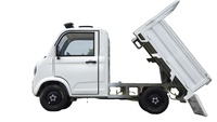 Mini-camion électrique 1500W 4 roues pick-up électrique 2 places petit véhicule électrique voiture utilitaire