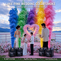 Liquide pour machine à fumée 2L, pour fumée colorée et atmosphère intense, pour mariages, fêtes, événements, spectacles, scènes, lieux intérieurs et extérieurs, compatible avec les générateurs de brouillard