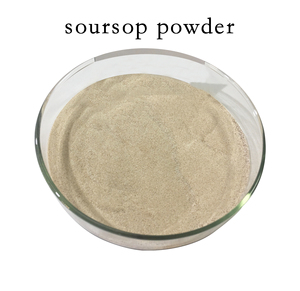 Poudre <span class=keywords><strong>de</strong></span> corossol <span class=keywords><strong>de</strong></span> qualité alimentaire en vrac, extrait d'herbes soluble dans l'eau, issu <span class=keywords><strong>de</strong></span> la nature pure, <span class=keywords><strong>fruit</strong></span> <span class=keywords><strong>de</strong></span> <span class=keywords><strong>graviola</strong></span>, emballé en fût ou en bouteille - Product Image 2