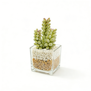 Plante artificielle réaliste à 3 têtes de baies succulentes, faux fruits dans un pot en verre avec galets, décoration naturelle pour la maison - Product Image 3