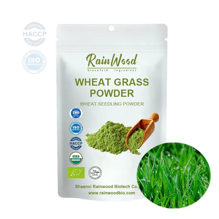 OEM Superfood Private Label polvere verde Wheatgrass in polvere succo di erba di grano in polvere
