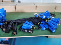 Cordon de dérivation Socapex 19 broches vers connecteurs d'alimentation standard CEE câble d'extension d'alimentation femelle