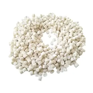 polypropylene Random Resin Raw Material GF30 TD40 Fr V0 PPR Copolymer PP Pellet