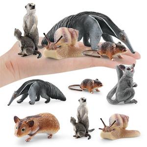 xinhen Figurines de simulation transfrontalières de hamster, escargot, petaurin, suri, marmotte, animaux de la forêt, modèles statiques de bureau - Product Image 5