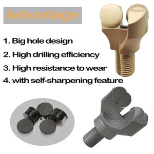 Diamante <span class=keywords><strong>pdc</strong></span> broca <span class=keywords><strong>bit</strong></span> dois pinos ferramentas gêmeo asa <span class=keywords><strong>bit</strong></span> âncora ferramenta bits - Product Image 3