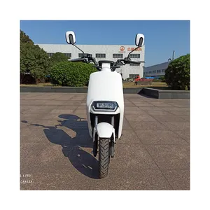 중국 제조 업체 고속 저렴한 성인 Ckd 전기 오토바이 500 와트 1000 와트 판매
