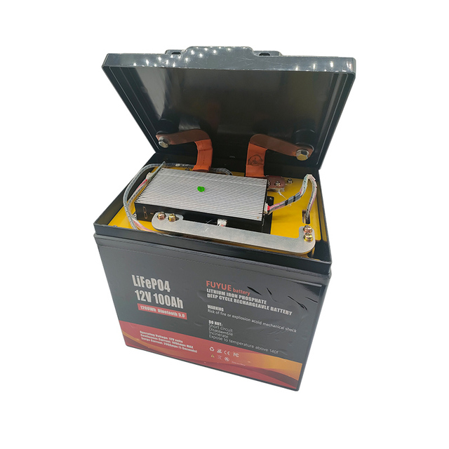 Custom Deep Cycle Rechargeable LifePo4 Battery Pack Long Cycle Lasting Energy Storage Battery 12V 100Ah