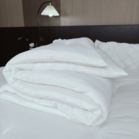 Couette matelassée de luxe en microfibre et polyester, double garnissage, douce comme un nuage, respirante toutes saisons, pour la maison ou l'hôtel - Taille King