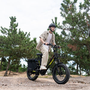 Bicicleta Eléctrica KOOLUX X8 20*4.0 de Alta Velocidad, Cuadro de Hierro, Neumáticos Anchos, Motor Trasero sin Escobillas de 48V - Product Image 2