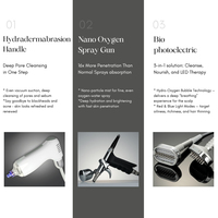 Hydra Dermabrasion Machine de beauté multifonctionnelle Hydra Machine de soin de la peau Jet d'oxygène Peeling Machine faciale pour la peau