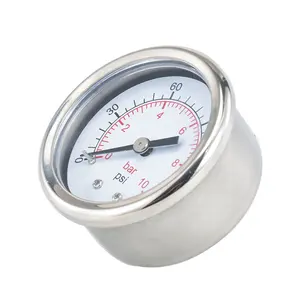 Gauge Cheap NPT1/4 Thread 60mm Pressure Gauge SS 304 Metal Casehousing Axial Back Connection Type Pressure Gauge