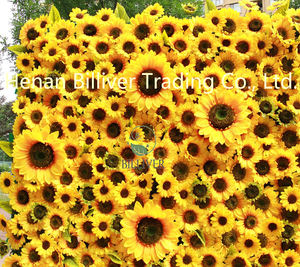 सही डिजाइन कपड़े शादी के फूल पर्दे चटाई रेशम पैनल पृष्ठभूमि कृत्रिम पीले बड़े सूरजमुखी फूल की दीवार पृष्ठभूमि - Product Image 2