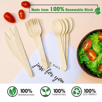 Fourchette en bois biodégradable sans éclats, sûre, jetable, de qualité alimentaire, pour les déjeuners scolaires des enfants, l'utilisation familiale, les bords lisses, les fêtes d'enfants