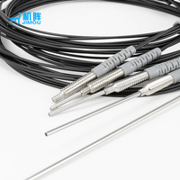Sonde à fibre optique diffuse RS410 / RS410-I / RS410-S / RS410-M / RS410-L M4 en acier inoxydable pour amplificateur à fibre