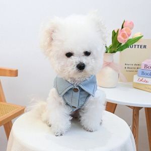 Abbigliamento per Animali Domestici, Gilet in Denim alla Moda per Cani e Gatti, Giacca in Jeans per Cani di Piccola Taglia - Product Image 3