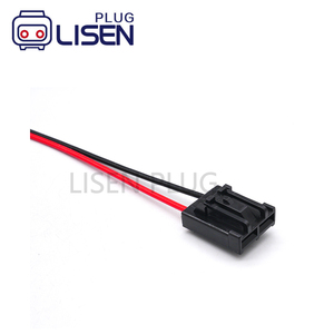 Harness Kabel Konektor Otomotif 2 Pin Kustom Dengan Terminal Plug untuk Pompa Bahan Bakar - Product Image 3
