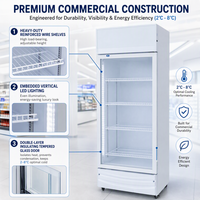 Vitrine Réfrigérée Commerciale Verticale à Porte Unique avec Thermostat Numérique, Refroidissement Direct, Anti-Givre, pour Boissons, sur Roues